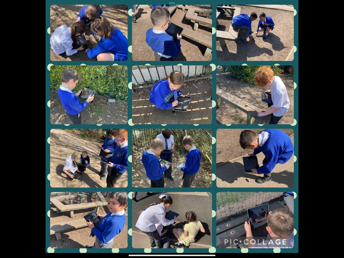 bullock_kab's tweet image. Super use of iPads today! We used #AppleKeynote to sort pictures of rocks. We then completed fieldwork and collected photos of rocks on the playground. We recorded our findings using #ApplePages! ⭐️ #KingslandDigitalTechnology #KingslandGeography  @Grierson_kag @StokeRTC