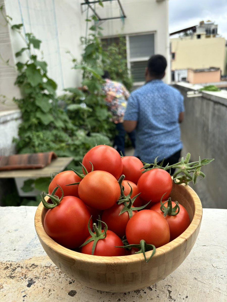 Grateful for all the love <a href="/solana/">Solana</a> &amp; <a href="/SuperteamIN/">Superteam India</a> let’s flood the timeline with some juicy, unadulterated 🍅s