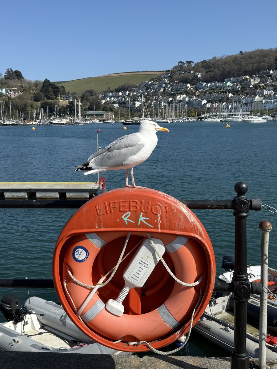 Lauren Sheldon tweet media