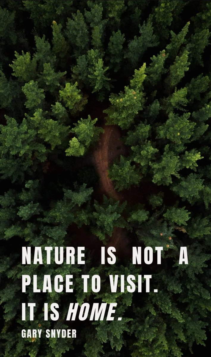 Ariokot Faith Patricia tweet media