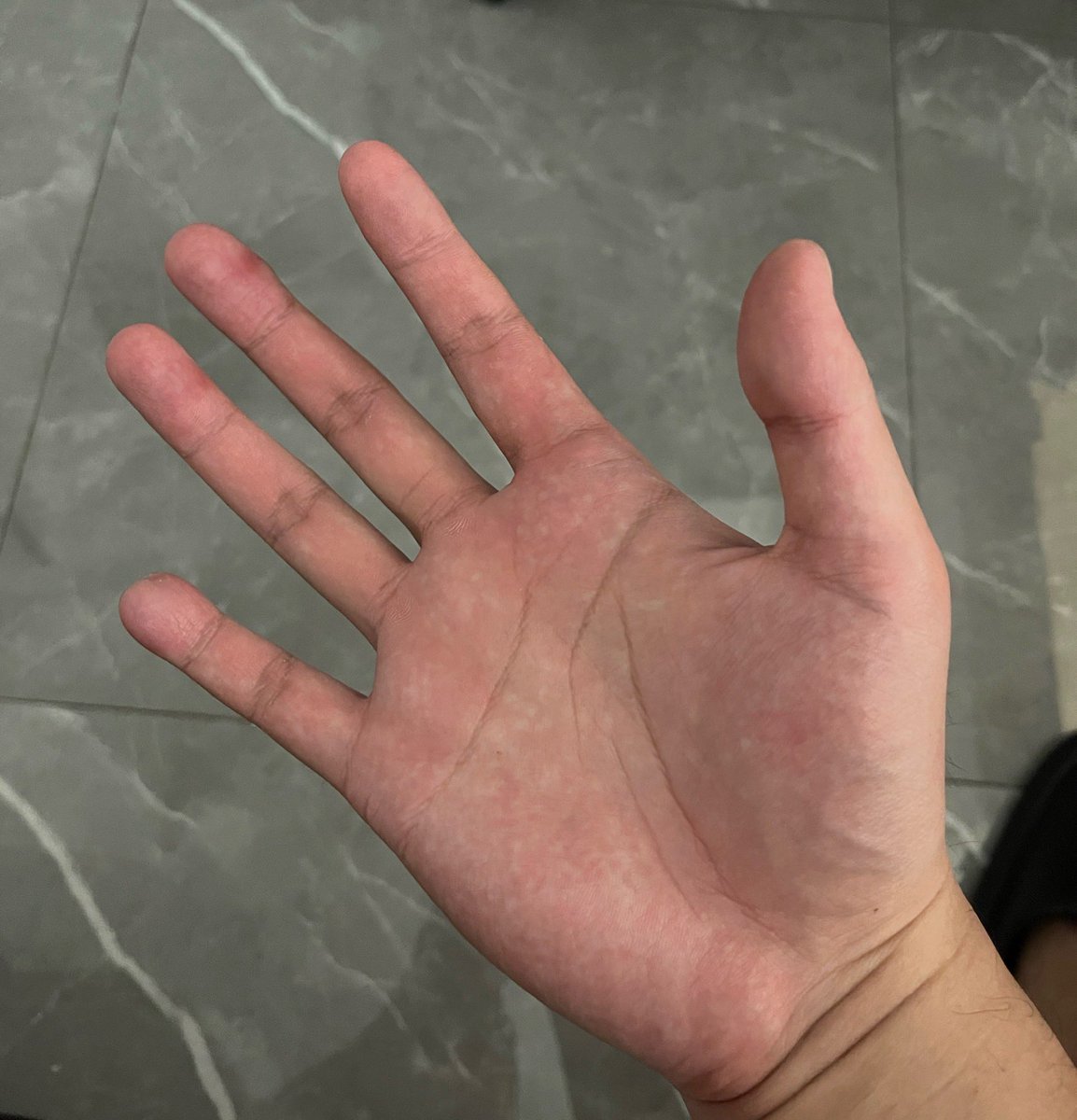 想被扇的贡蛆跪好了