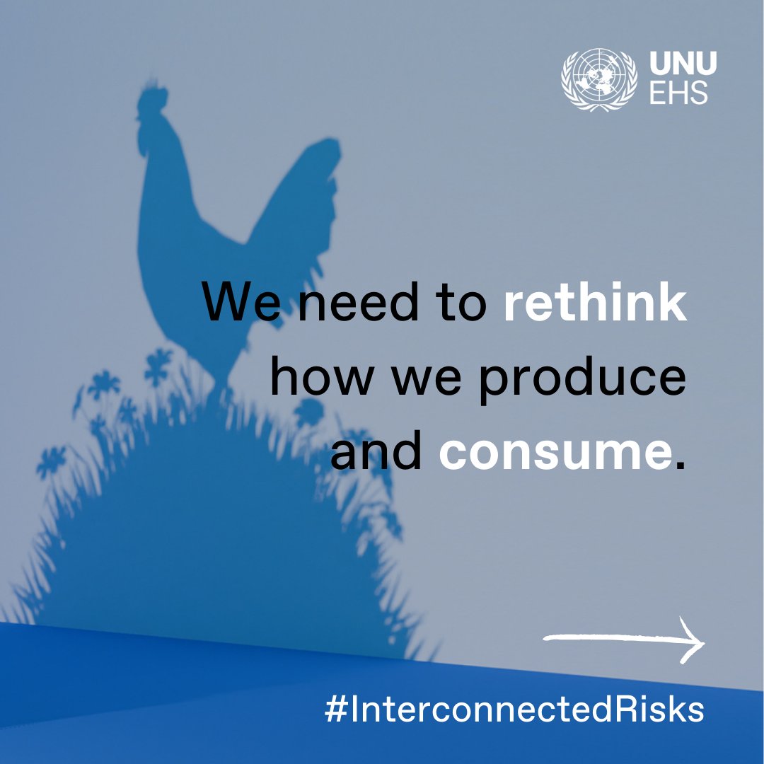 UN_SDG's tweet photo. The new #InterconnectedRisks report from @UNUEHS highlights 5️⃣ #transformativechanges for a thriving future:
♻️ Rethink waste
🌿 Realign with nature
🤔 Reconsider responsibility
🌟 Reimagine the future
💎 Redefine value
Find out more: https://t.co/T9BvckX6fj https://t.co/PzT6m8OaMz