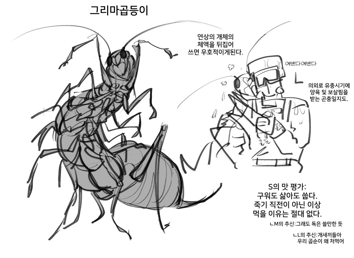 #낙원관찰지
다리 많은 곤충 매우 주의
(그리마+곱등이) 