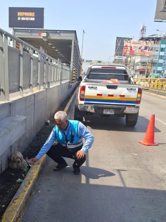 Metropolitano_L's tweet photo. #ATUInforma | Con relación a la presencia de un can abandonado en la estación Tomas Valle del Metropolitano, personal de la ATU se encuentra en el lugar coordinando con las instituciones correspondientes el traslado del animal a un lugar seguro. https://t.co/gSIbveUf68