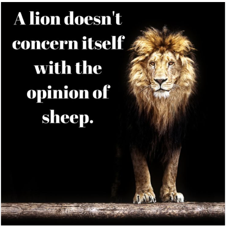 Jim Pappas (@nextweb3guy) on Twitter photo 