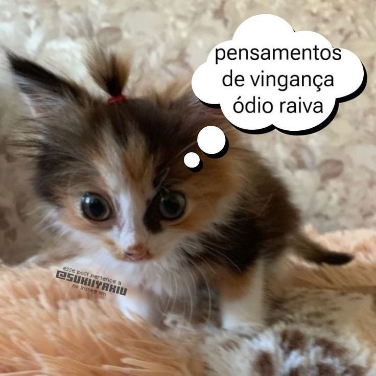 odeiootaco's tweet photo. https://t.co/OcW84TrSrK