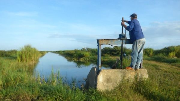 Alberto37126025's tweet photo. Avanza el mantenimiento al canal P-8, en el polo arrocero de Piñòn, en Encrucijada, lo que beneficiarà el riego a màs de 600 hectàreas del cereal, rescate del drenaje por parte de una brigada de la Empresa Agroindustrial de Granos Emilio Còrdova.
#juntosporvillaclara. https://t.co/72sqax0ukT