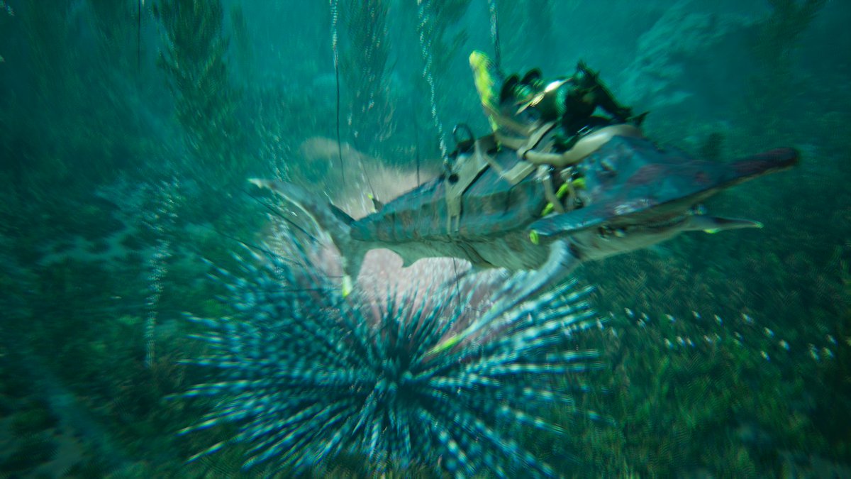 ArkSunken's tweet photo. IT'S SUNKEN SCOOP DAY!!!!

This time around we're going over everything added in our recent mod update, alongside sharing some extra sneak peeks at the TSW: Ascended map! 
Check it out!

https://t.co/MFyVHKygiD

#playARK #ARKSurvivalAscended #ARKModding #UE5 #TSW #SunkenScoop https://t.co/raYzYy4DMU