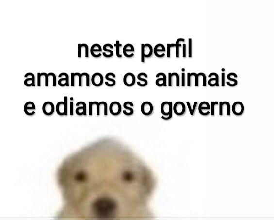 odeiootaco's tweet image. 