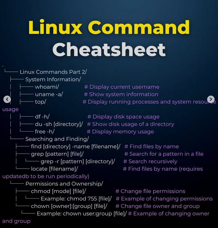 Python Developer tweet media