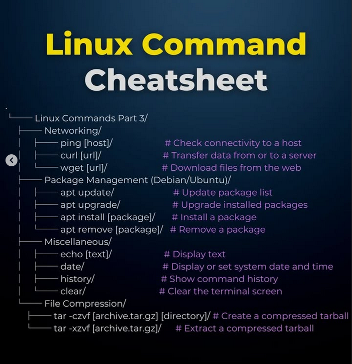 Python Developer tweet media