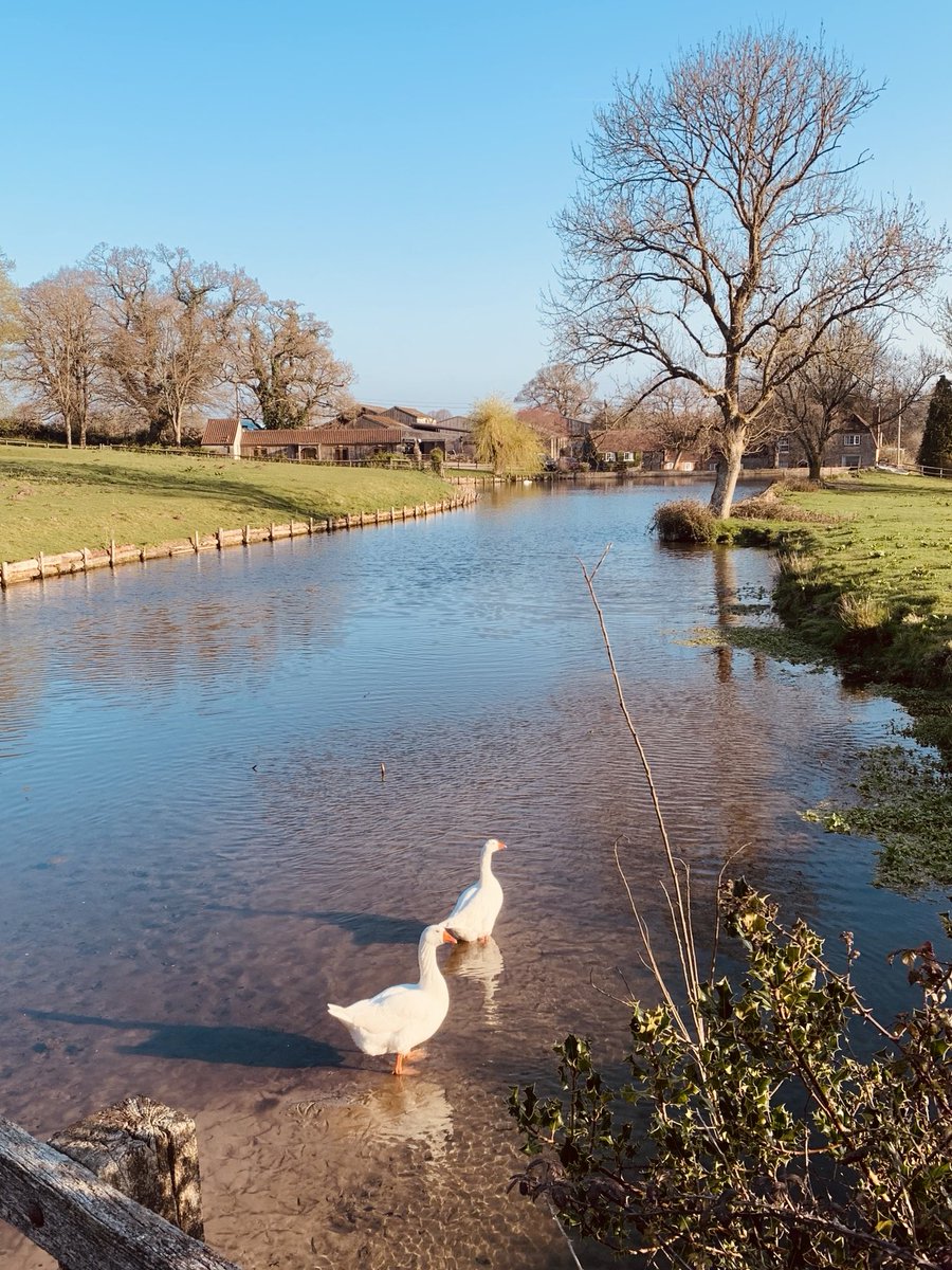 Truluck_Wilts's tweet photo. The millpond, Horningsham,#Longleat estate. #England #Countyside #Tradition https://t.co/mCbadiDsM4