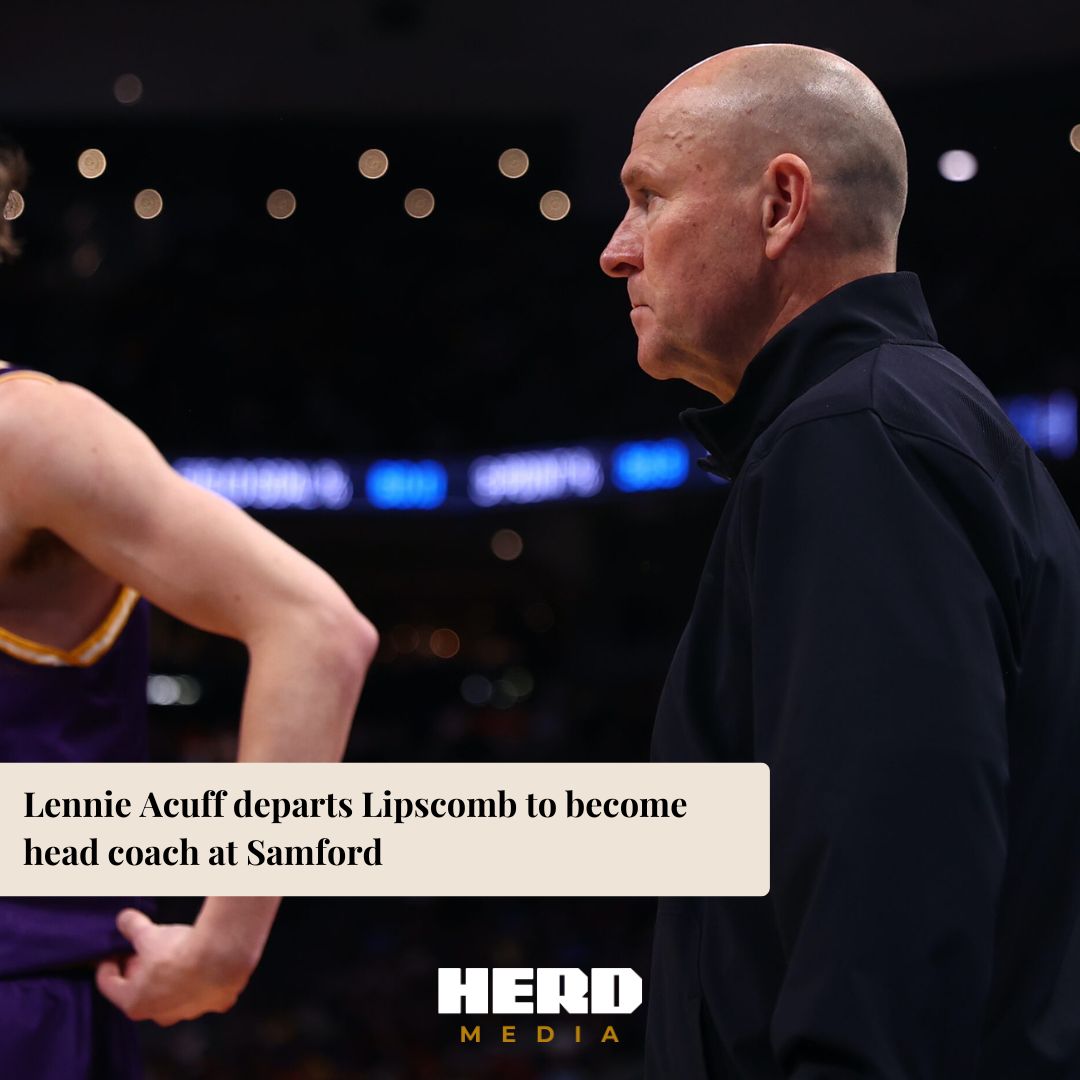 Herd Media tweet media