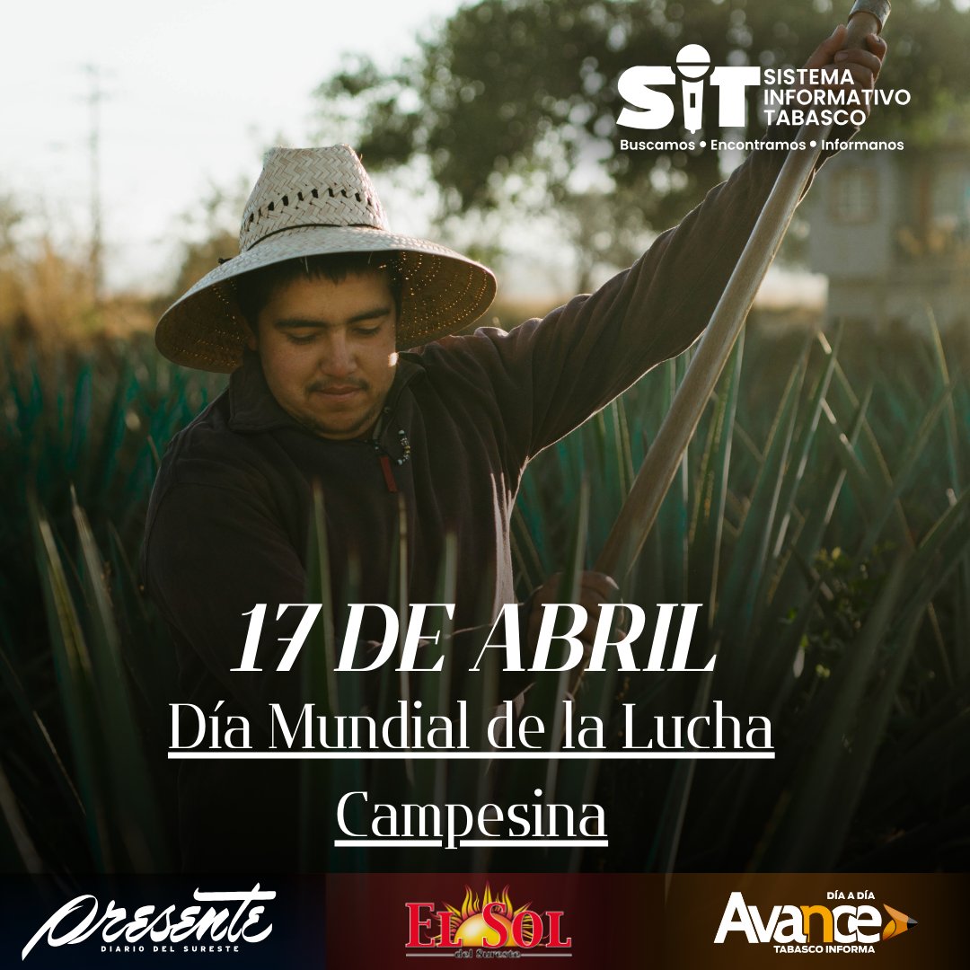 DiarioPresente's tweet image. 📅#Efeméride| Hoy, rendimos homenaje a los #Campesinos que, con su arduo trabajo, nos alimentan, protegen el medio ambiente y defienden sus tierras frente a la codicia de grandes corporaciones.🚜

|#Noticias |#Tabasco |#Villahermosa