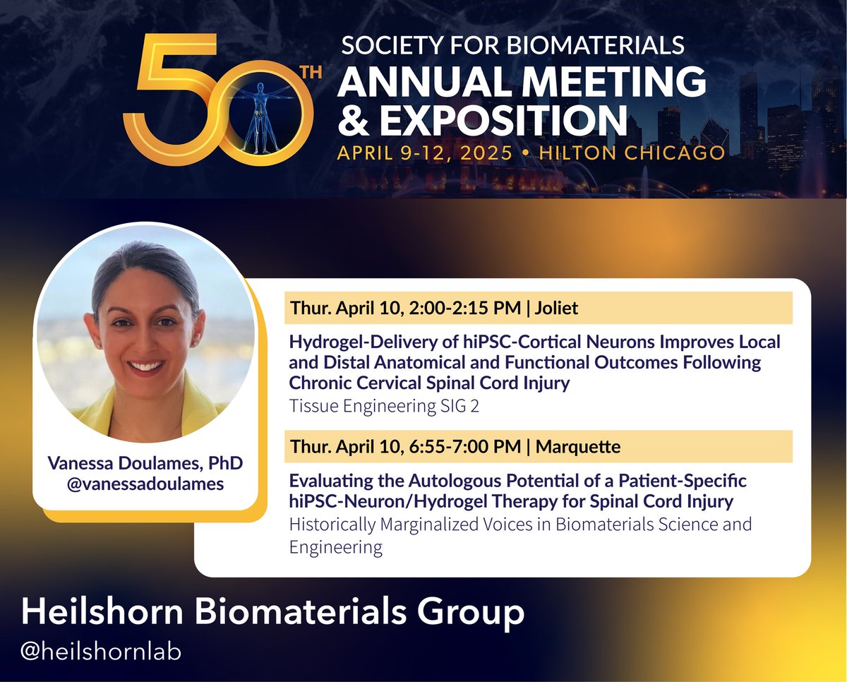 Heilshorn Lab (@heilshornlab) on Twitter photo We are thrilled to be at #SFB2025 in Chicago this week! <a href="/vanessadoulames/">Vanessa Doulames, PhD</a> will be sharing some of our recent work on a hydrogel-mediated approach for spinal cord injury. Excited to see everyone! 🤗 <a href="/SFBiomaterials/">SFBiomaterials</a> We are thrilled to be at #SFB2025 in Chicago this week! <a href="/vanessadoulames/">Vanessa Doulames, PhD</a> will be sharing some of our recent work on a hydrogel-mediated approach for spinal cord injury. Excited to see everyone! 🤗 <a href="/SFBiomaterials/">SFBiomaterials</a>