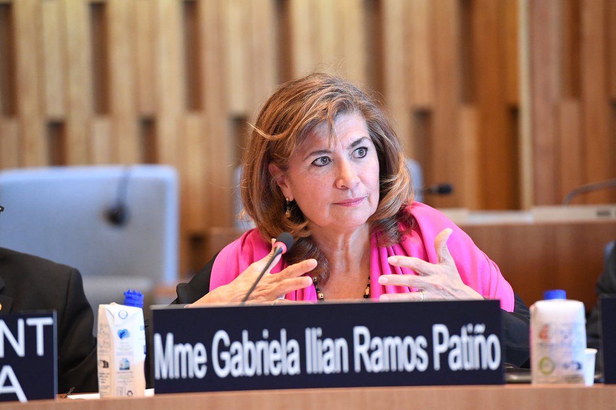 As Vice-Chair of <a href="/UNESCO/">UNESCO 🏛️ #Education #Sciences #Culture 🇺🇳</a> #ExecutiveBoard, I was honoured to ask questions to the three candidates for the office of the Director-General of Unesco on behalf of Electoral Group II. I wish all three candidates a lot of success!