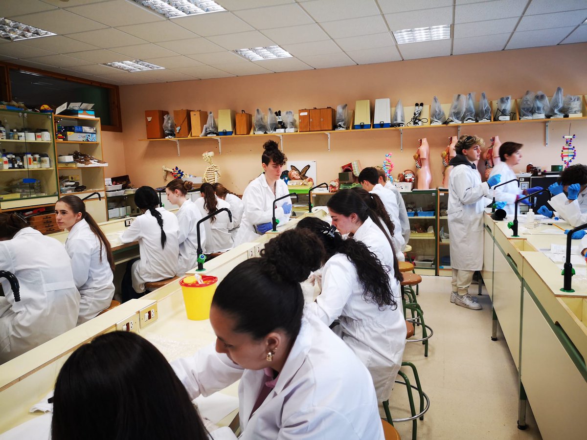 SMicromundo's tweet photo. @SMicromundo Tercera sesión con los alumnos de  @iesAldebaran_Al. Seguro que tenemos microorganismos interesantes 🧫🧫 https://t.co/LcSblYiEY9