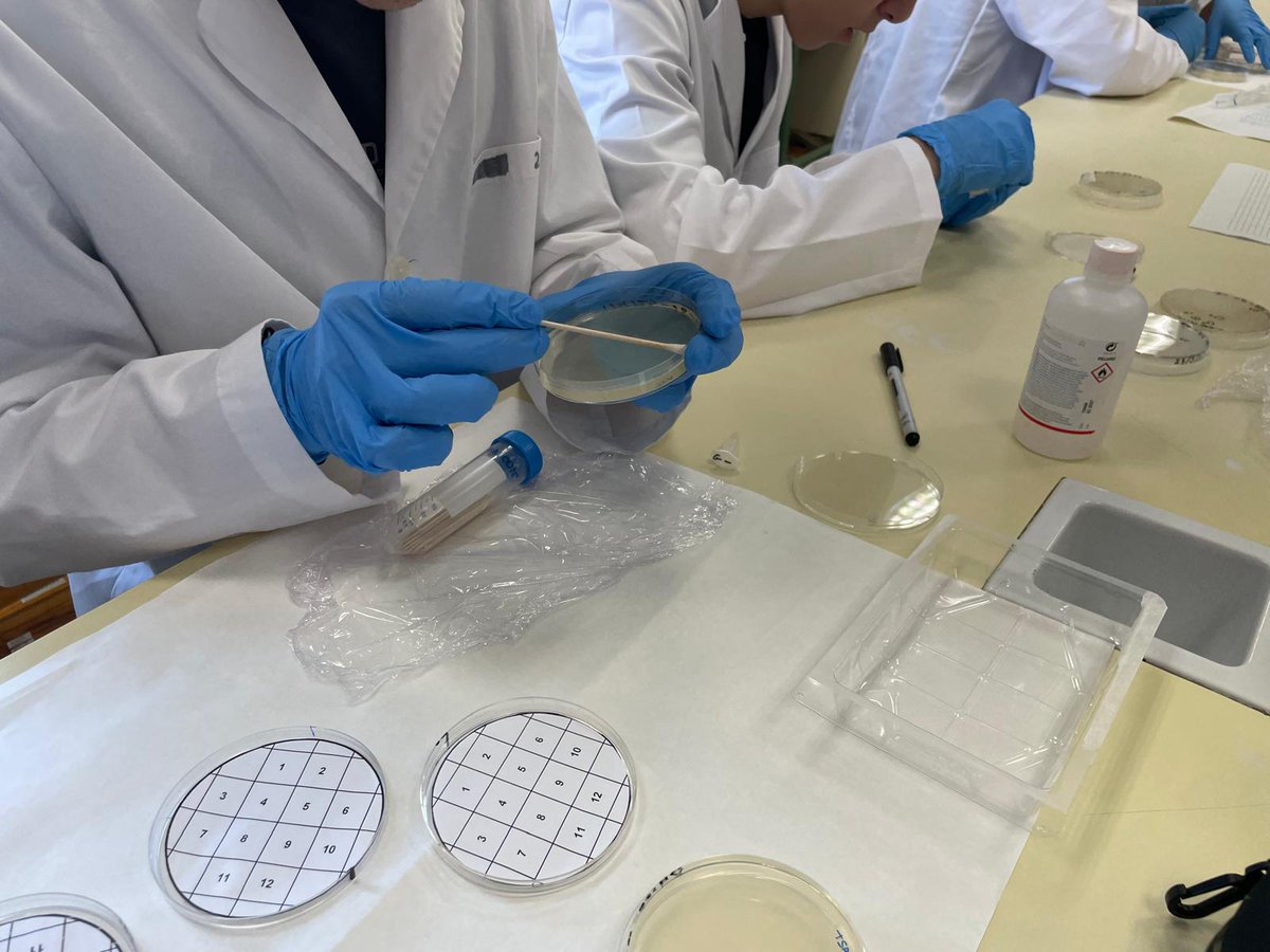 SMicromundo's tweet photo. @SMicromundo Tercera sesión con los alumnos de  @iesAldebaran_Al. Seguro que tenemos microorganismos interesantes 🧫🧫 https://t.co/LcSblYiEY9