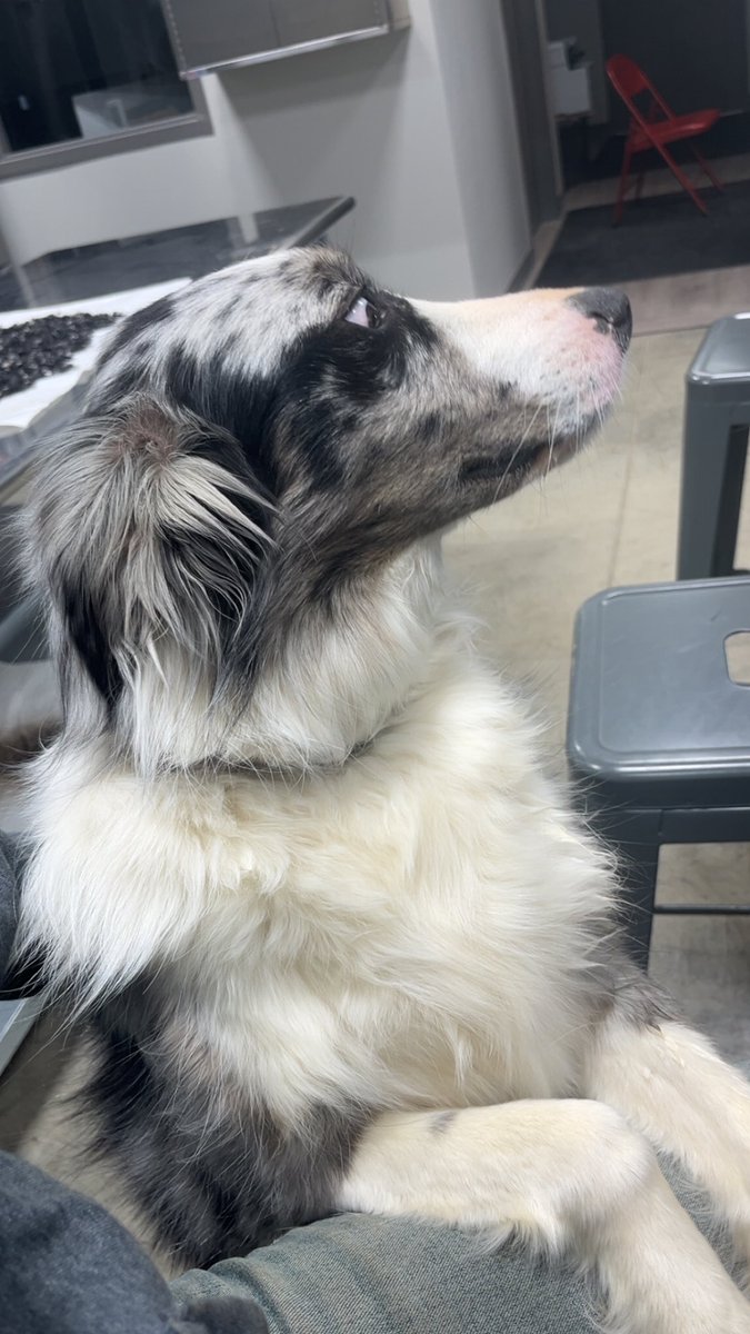 Draven🧡 tweet media