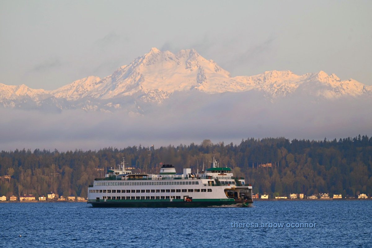 TheresaArbowOC's tweet image. Olympics looking pretty this cloudy cool morning ♡
#wawx #pnw @wsferries #HappyWednesday