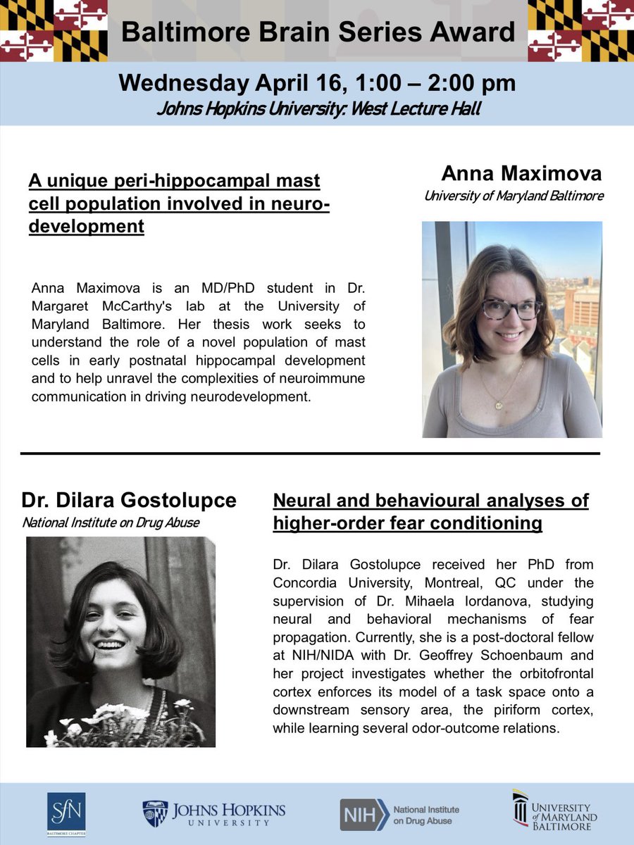 BaltimoreBrainSeries (@bmorebrainy) on Twitter photo Join us next Wednesday from 1:00-2:00 at JHU for another Baltimore Brain Series seminar! Awardees Dr. Dilara Gostolupce from NIDA and Anna Maximova from UMB will present their exciting work. Zoom link provided upon request! Join us next Wednesday from 1:00-2:00 at JHU for another Baltimore Brain Series seminar! Awardees Dr. Dilara Gostolupce from NIDA and Anna Maximova from UMB will present their exciting work. Zoom link provided upon request!