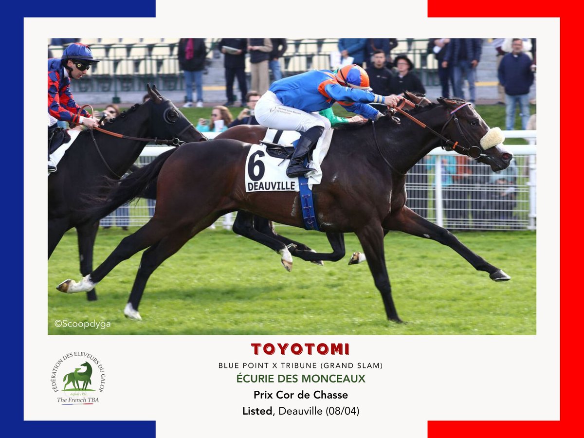 Fedeeleveurs's tweet image. 🌊Bravo à @EcurieMonceaux  pour la belle 1e place de TOYOTOMI, fils de #bluepoint, dans le Prix Cor de Chasse, Listed sur l'Hippodrome de @fgdeauville (08/04) ! 💯
#bravoanoseleveurs #BreedInFrance #eleveursdechevaux #RaceAndCare