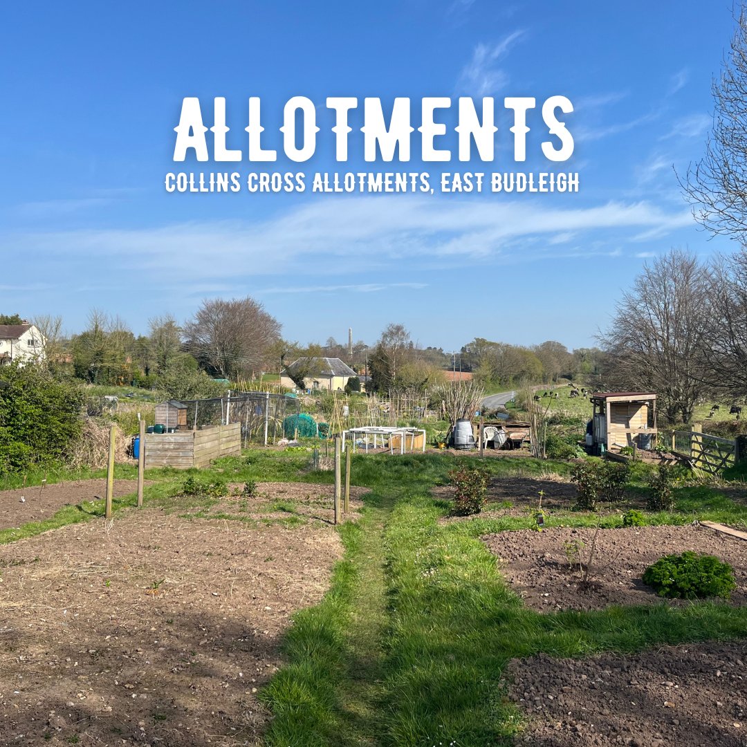 ClintonDevonEstates (@clintondevon) on Twitter photo Clinton Devon Estates are pleased to offer various allotment plots at 📍Collins Cross Allotments, East Budleigh.
Availability is limited so please contact propertyandland@clintondevon.com for more information or to book a viewing. Clinton Devon Estates are pleased to offer various allotment plots at 📍Collins Cross Allotments, East Budleigh.
Availability is limited so please contact propertyandland@clintondevon.com for more information or to book a viewing.