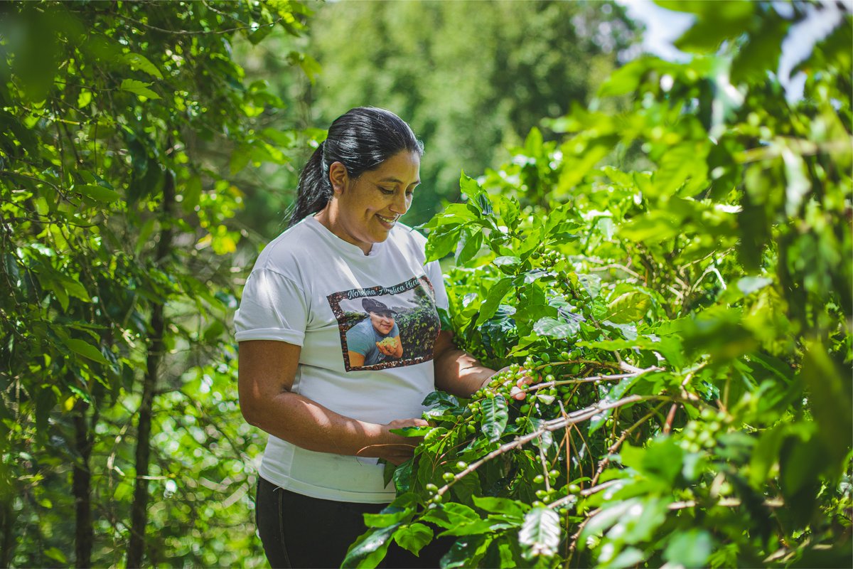 #Proyectos | El MBA ACTEC de la Escuela LID de FUSAI abre oportunidades para jóvenes, mujeres y personas con discapacidad, fortaleciendo Mipymes en Los Nonualcos.  

Financiado por <a href="/generalitat/">Generalitat</a>; Entidades solicitantes:
<a href="/FundDelValle/">Fundación del Valle</a> y <a href="/FMusol/">Fundación MUSOL</a>. Socios: CORDES, FUSAI y FUSALMO.