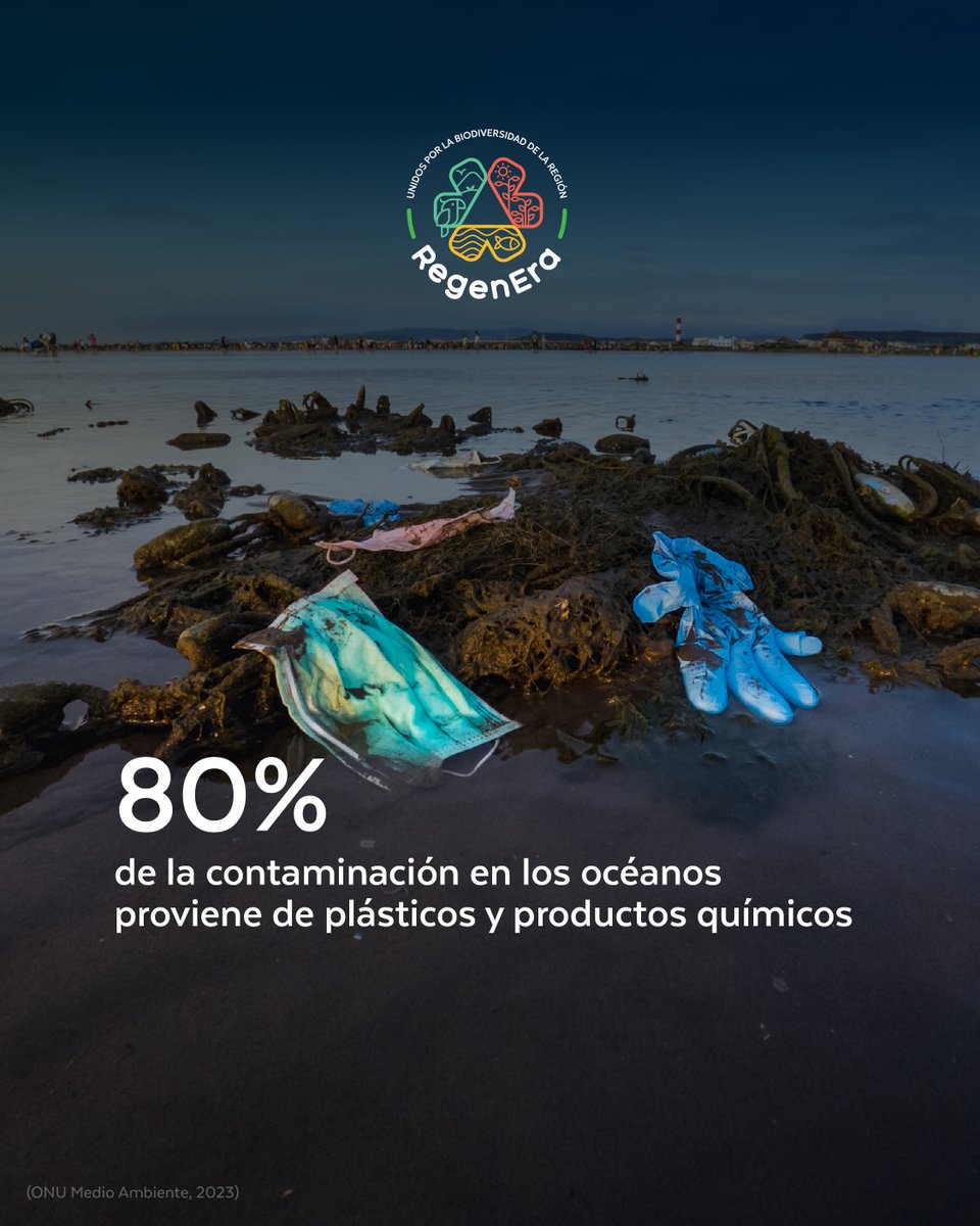 redintegrarse's tweet photo. ♻️ Reducir la contaminación es un compromiso esencial. El Manifiesto de Biodiversidad por las empresas guía a las empresas en la gestión de residuos y la disminución de impactos en el agua, suelo y aire. Este es el compromiso de #RegenEra.
O visto de otra forma, se trata de producir menos basura y controlar mejor la contaminación del aire, el agua y la tierra para que no dañemos el planeta ni a nosotros mismos.
@AEDCostaRica @CentraRSE @ecoredrd @FUNDAHRSE_ @FUNDEMAS @Sumarse 
🔗 Descarga el Manifiesto y actúa hoy: https://t.co/L0hi1pVZhf

#INTEGRARSE #RedIntegrarse #UnidosxBiodiversidad #ManifiestoDeBiodiversidad  #ReducciónDeContaminación #SostenibilidadEmpresarial
