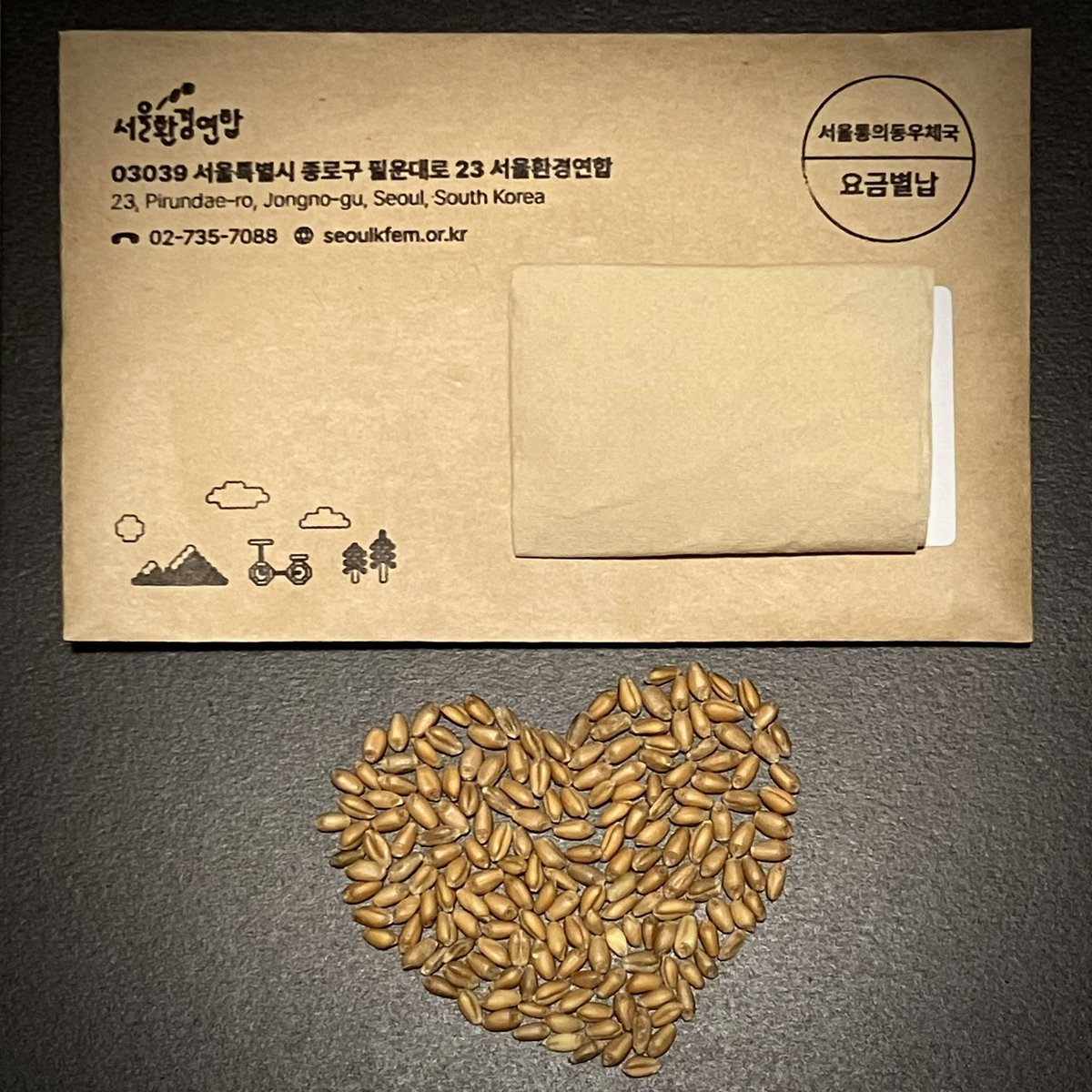 sihnae's tweet photo. 🌱育苗日記 토종 앉은키밀 1
2025/4/2(수)
#서울환경연합 야매식물박사님이 보내온 #토종앉은키밀 씨앗. 우편봉투 가득 넣어주셨다.
#씨앗의숲 #싹싹이 #밀싹

육묘 育苗 모를 키우다.
모 : 옮겨 심기 위하여 기른 벼 이외의 온갖 씨앗의 싹. 헤아리는 단위는 모숨, 춤이다. https://t.co/SauinvcWb7