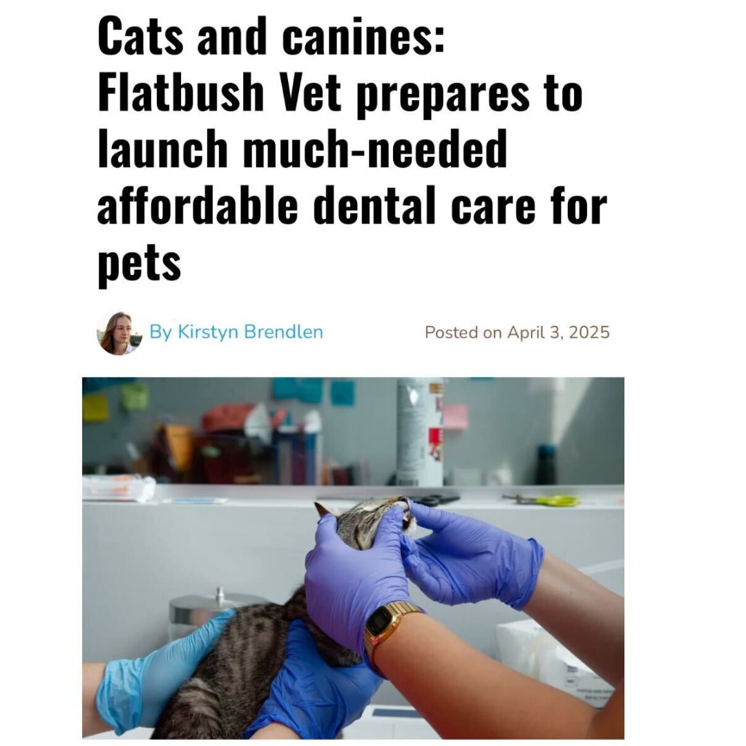 Flatbush Cats tweet media