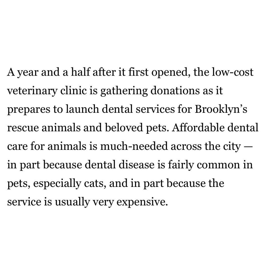 Flatbush Cats tweet media