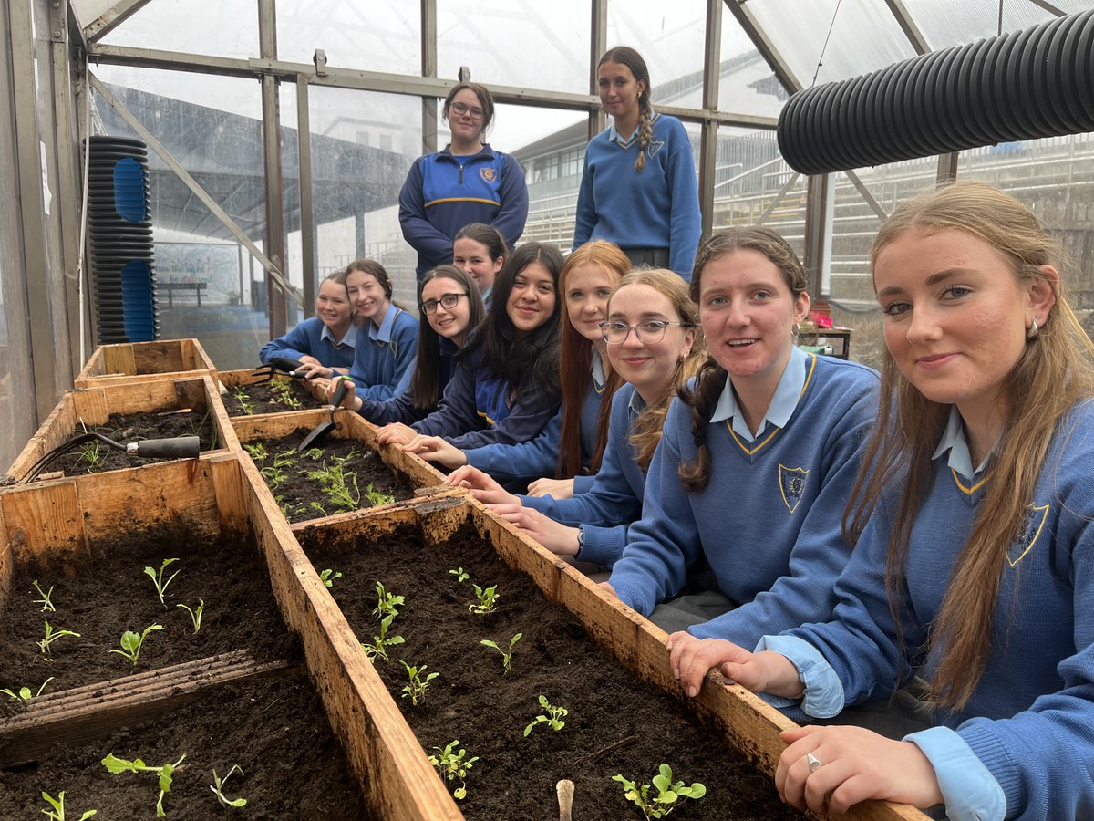 Klaus Harvey (@klausharvey) on Twitter photo Delighted for my <a href="/KinsaleComSch/">Kinsale Community School</a> brilliant Transition Year Sustainability Team on reaching the finals of the ECO-UNESCO Young Environmentalist Awards. <a href="/KinsaleTY/">KCS Transition Year</a> <a href="/ecounesco_yea/">YEA</a> <a href="/KCS_Global/">KCS Global Citizenship and Sustainability</a> Delighted for my <a href="/KinsaleComSch/">Kinsale Community School</a> brilliant Transition Year Sustainability Team on reaching the finals of the ECO-UNESCO Young Environmentalist Awards. <a href="/KinsaleTY/">KCS Transition Year</a> <a href="/ecounesco_yea/">YEA</a> <a href="/KCS_Global/">KCS Global Citizenship and Sustainability</a>