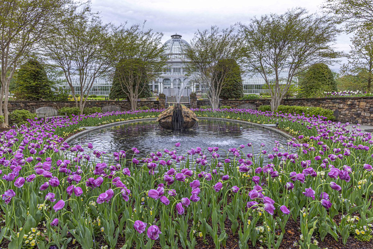 lewisginter's tweet photo. Visit now to see spring in bloom! A perfect setting for a friends and family outing or just time for you to relax and soak in the beauty. Donโt forget to visit the Garden Cafe for lunch and the Garden Shop spring merchandise. ๐ผ๐บ๐ https://t.co/x67kfIdiQK #rva #visitva https://t.co/qGOWTCQ6WT