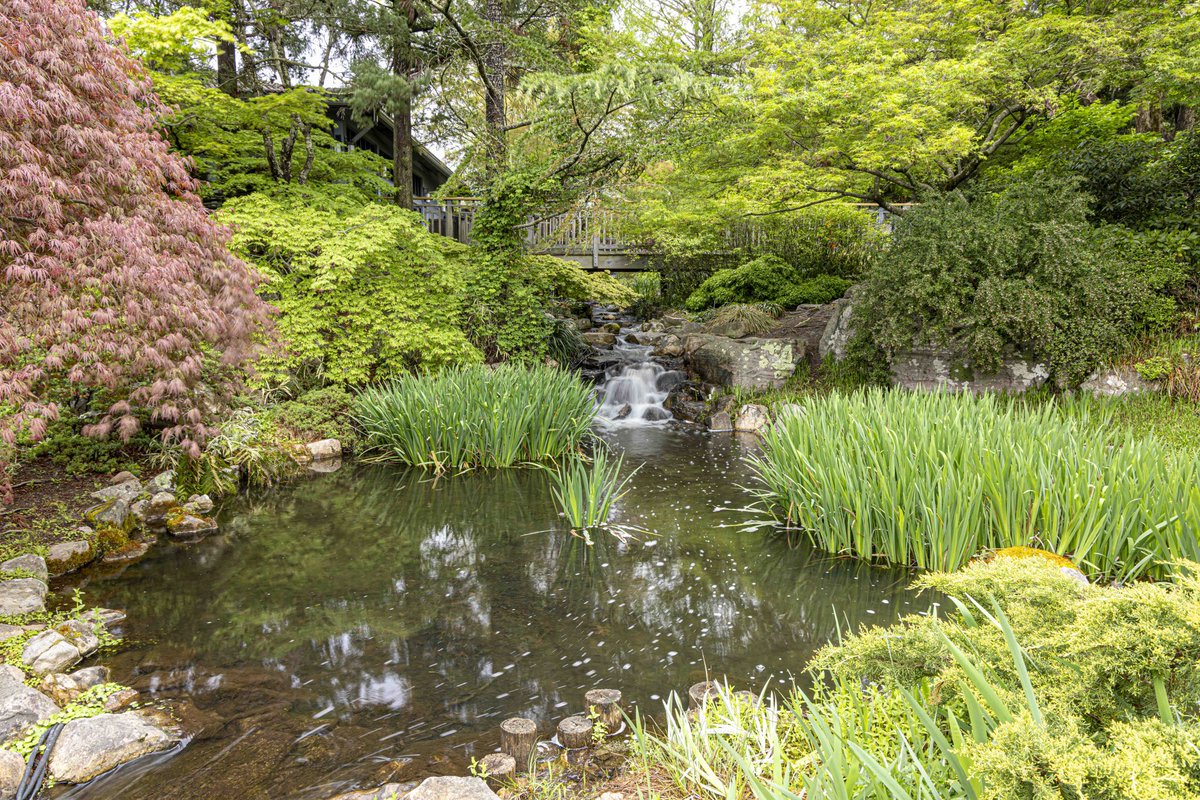 Visit now to see spring in bloom! A perfect setting for a friends and family outing or just time for you to relax and soak in the beauty. Don’t forget to visit the Garden Cafe for lunch and the Garden Shop spring merchandise. 🌼🌺💐 lewisginter.org #rva #visitva
