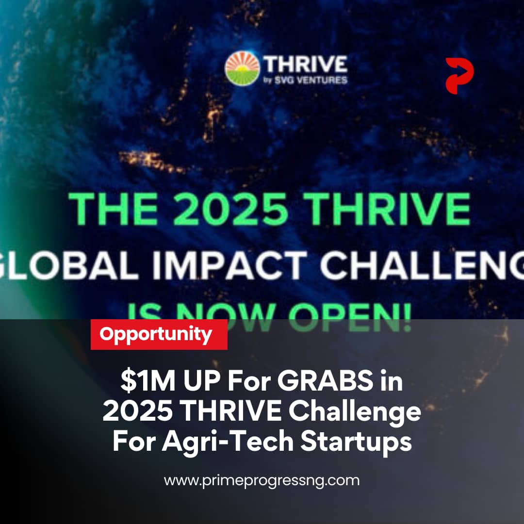 PrimeProgressng's tweet photo. Agri-tech startups tackling food and sustainability challenges can win up to $1 million in the 2025 THRIVE Global Impact Challenge.
Applications close May 25.
Read more: https://t.co/TghSxjQm9x
#PrimeProgress #AgriTech #THRIVEChallenge #Sustainability #ClimateTech #FoodSecurity #StartupFunding #GlobalImpact #InnovationChallenge #TechForGood