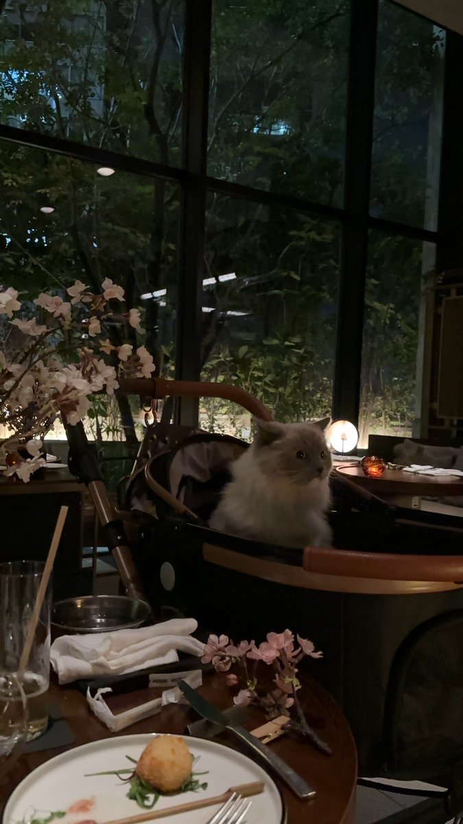 撮ってもらった映えガングロ📷