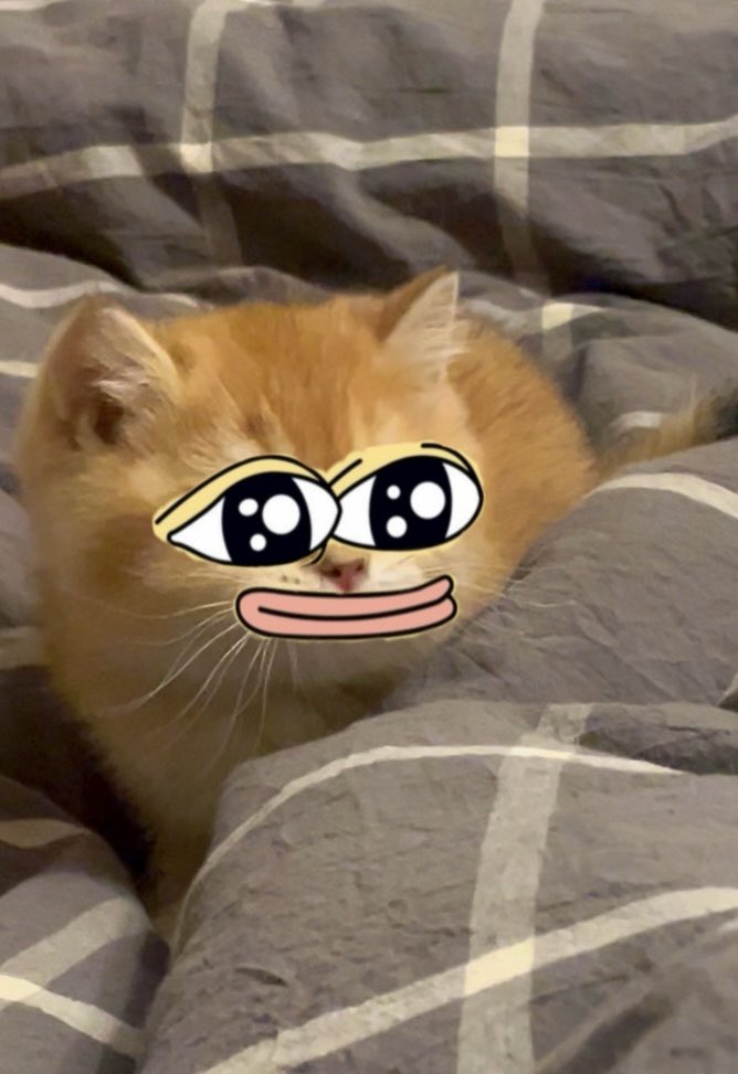 Fhera - Decentralized FHE Storage tweet media