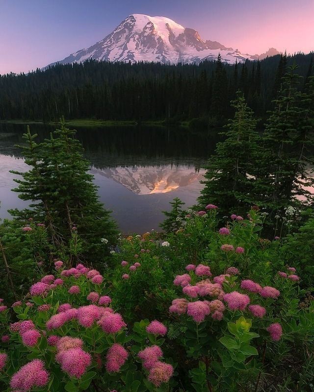 𝘢𝘦𝘴𝘵𝘩𝘦𝘵𝘪𝘤 𝘷𝘪𝘴𝘶𝘢𝘭𝘴 •°. *࿐ (@aestheticwabi) on Twitter photo 