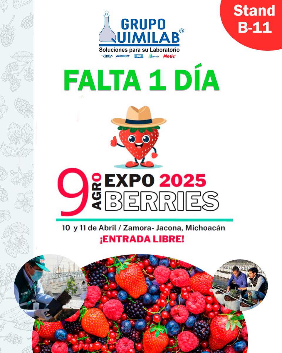 quimilab's tweet photo. ¡Falta solo un día para la Expo Agroberries! 🍓🌱
Mañana es el gran día, ¡no te lo puedes perder! Te esperamos en el stand B-11. https://t.co/Ml0r84d7S2