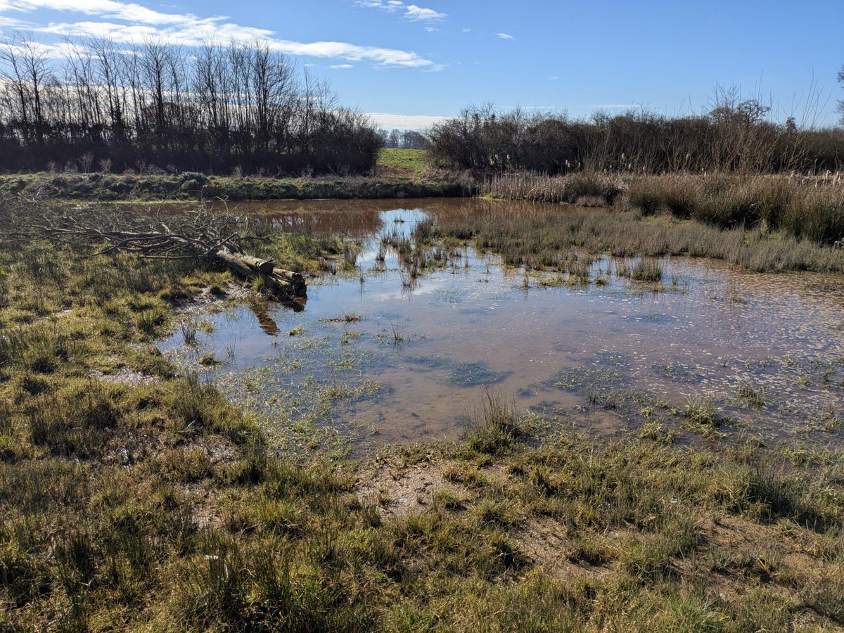 DevonWildlife's tweet photo. Our Working Wetlands advisors work directly with landowners on land management techniques to restore wet grassland, preventing water pollution and increasing biodiversity.

This is part of the #UpstreamThinking work funded by South West Water.

Read more 👉https://t.co/THIxXwZu8q https://t.co/qeMos1ENNf