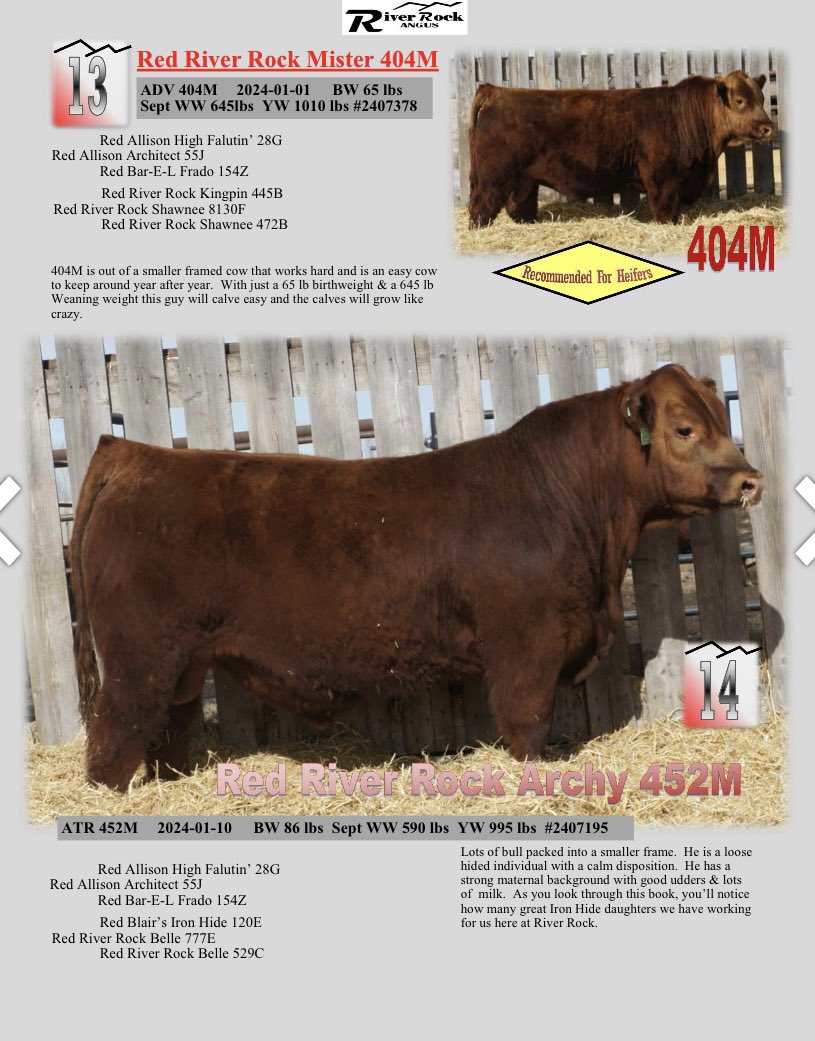 Please join us April 17 at the sale facility east of innisfail