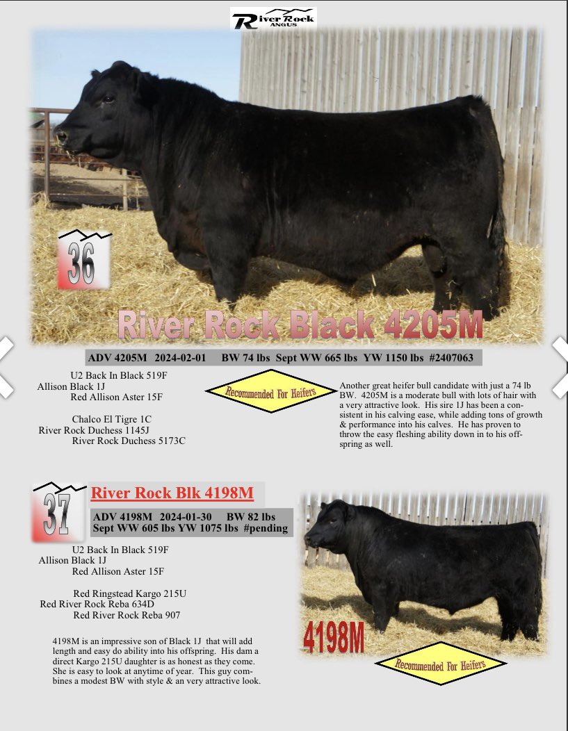 He sells april 17 at 130pm