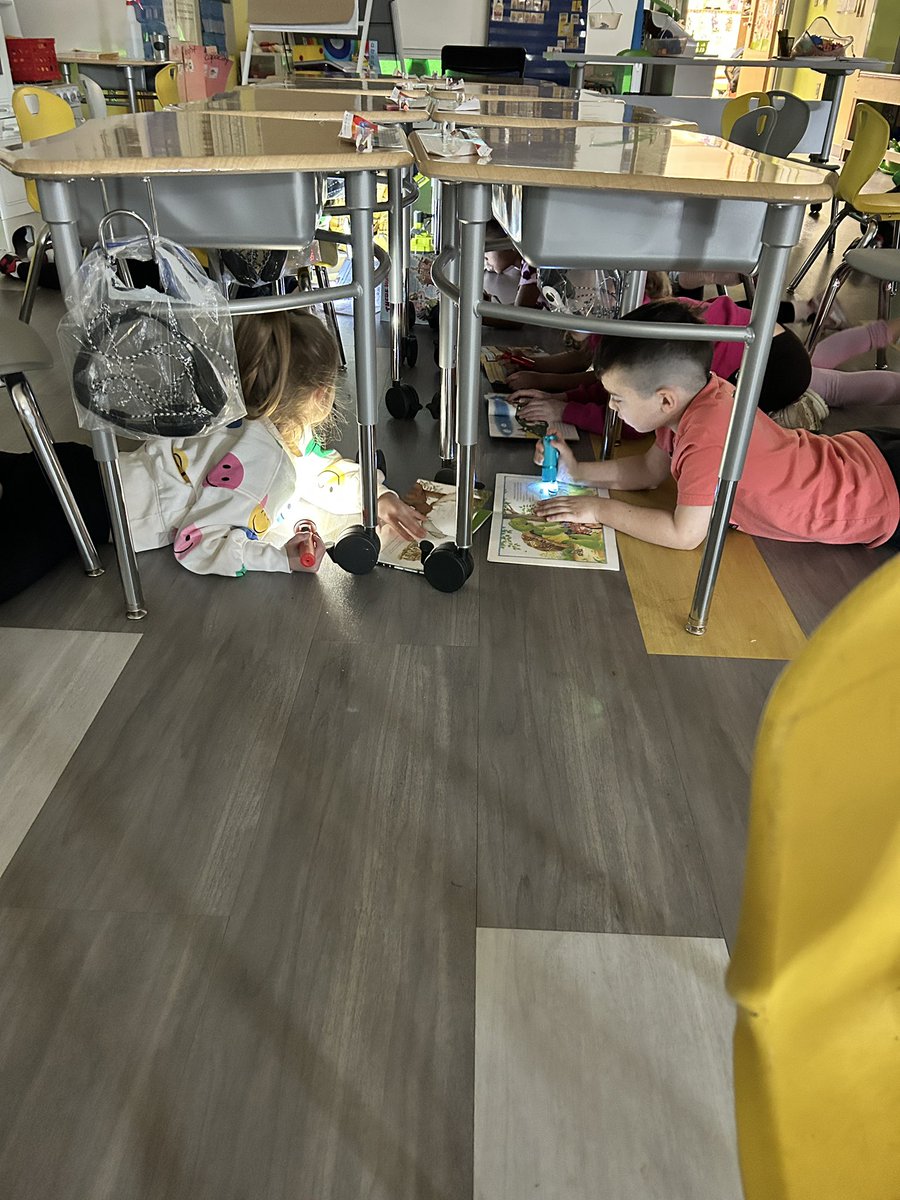 MrsBrown_K's tweet photo. 🔦 flashlight reading fun 🔦 https://t.co/mMrLeQFaLt