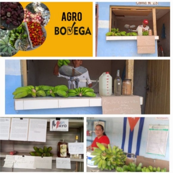 rdiaza6986's tweet photo. Continúa el avances, en la prestación de los servicios, en el sector del comercio en #holguin, a través de la modalidad de las #AgroBodega, en los municipios de Moa y Urbano Noris https://t.co/arjKjw8Eup