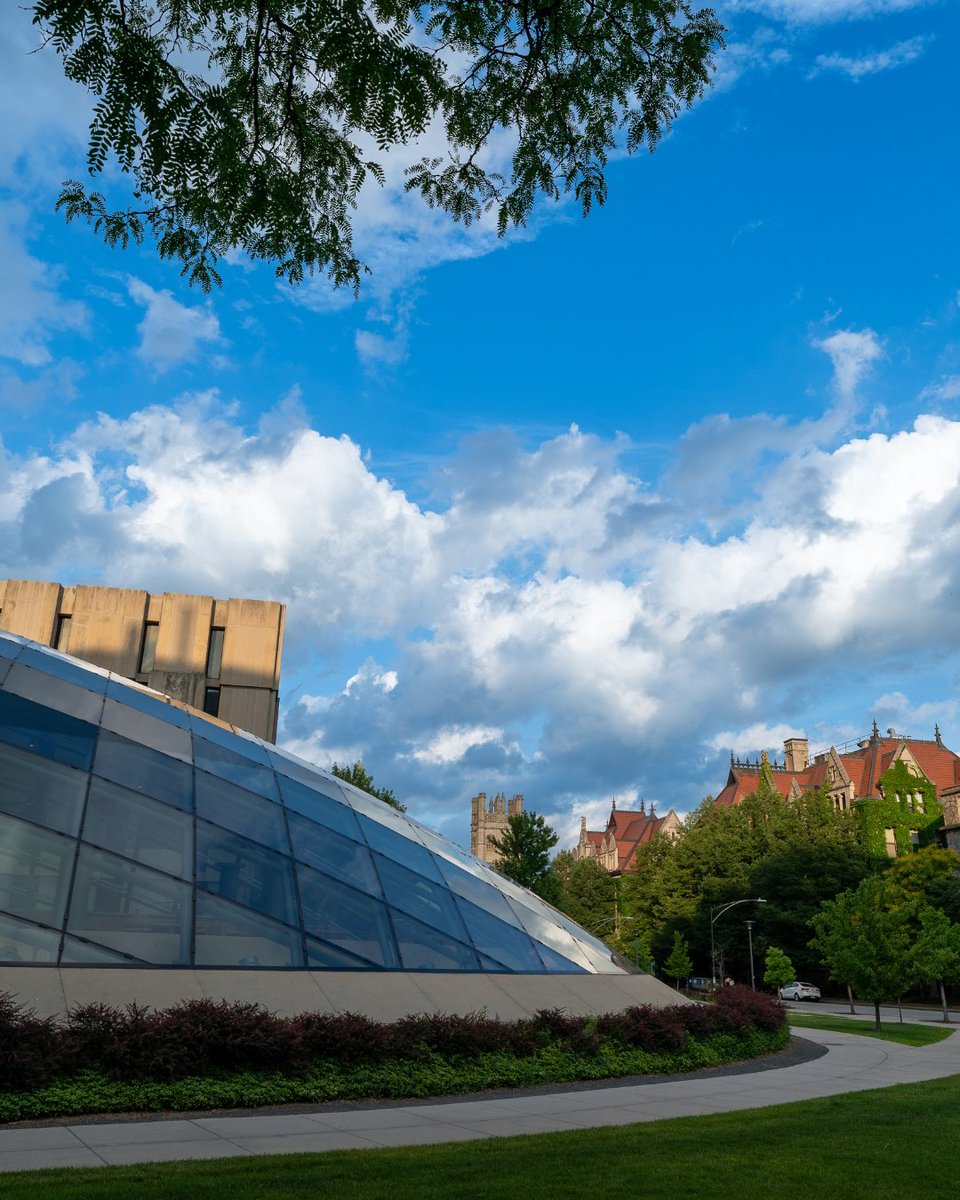 How many glass panels make up the dome of Mansueto Library? Take a guess in the comments!

📸 Jason Smith