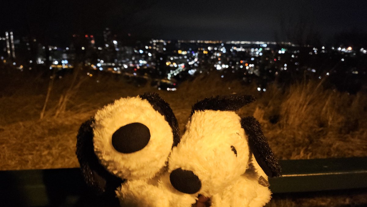 snoopy sister ♡ tweet media