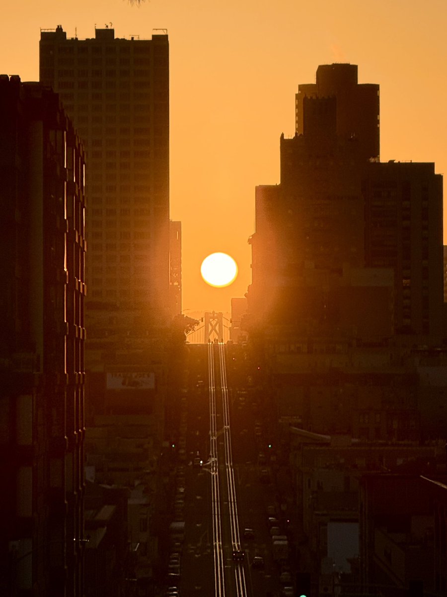 TedsLittleDream tweet media