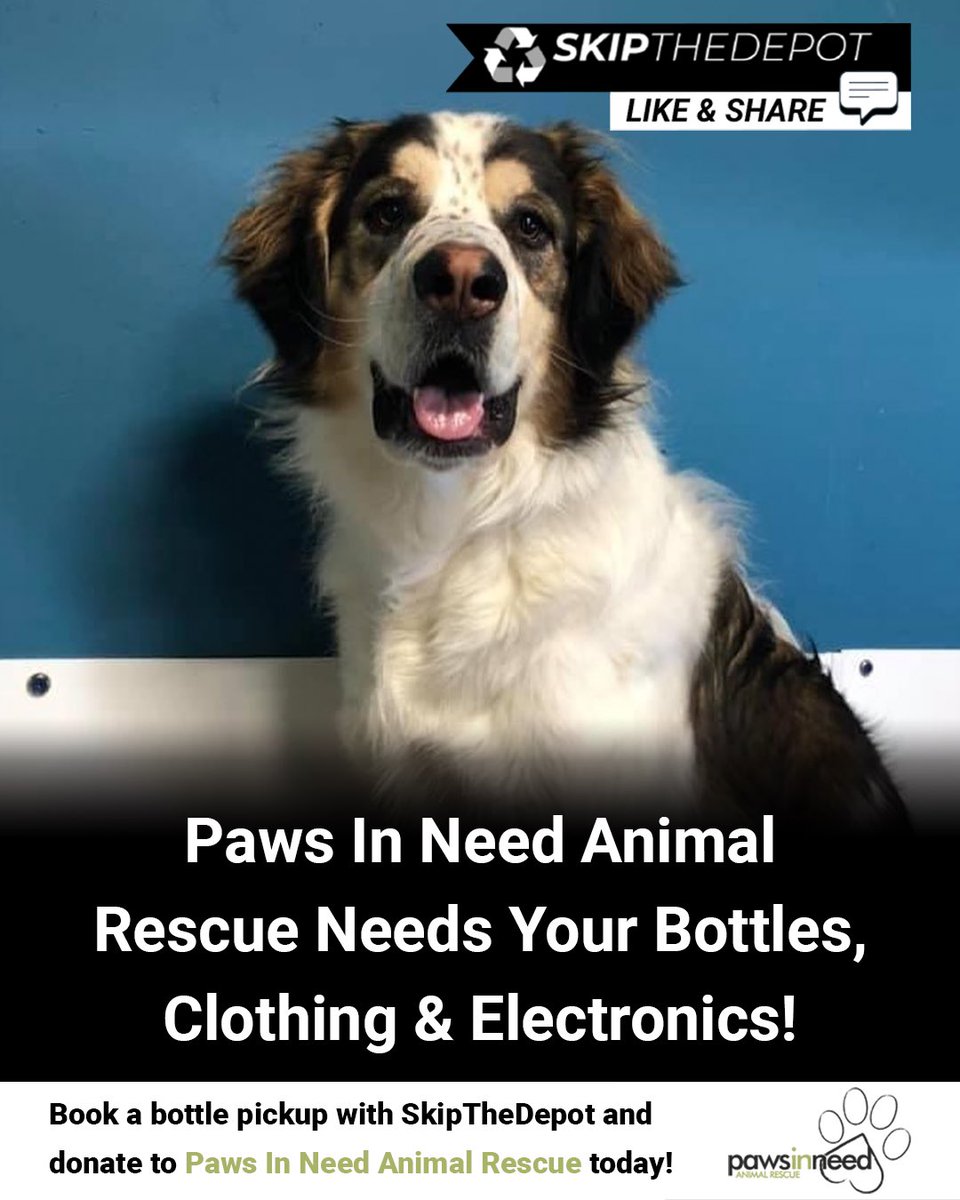 Paws In Need Animal Rescue is on a mission, and we need YOUR help! ♻️ Partnered with SkipTheDepot, we're turning bottles into a force for good. 

Book a home bottle pickup here: app.skipthedepot.com/pawsinneedanim… 

#yeg #edmonton #bottledepot #bottledepotnearme #edmontonbottledepot