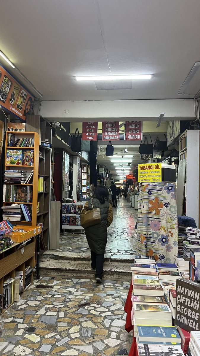 Suraya bi restorasyon calismasi bi temizlik bi bisey yapin ya